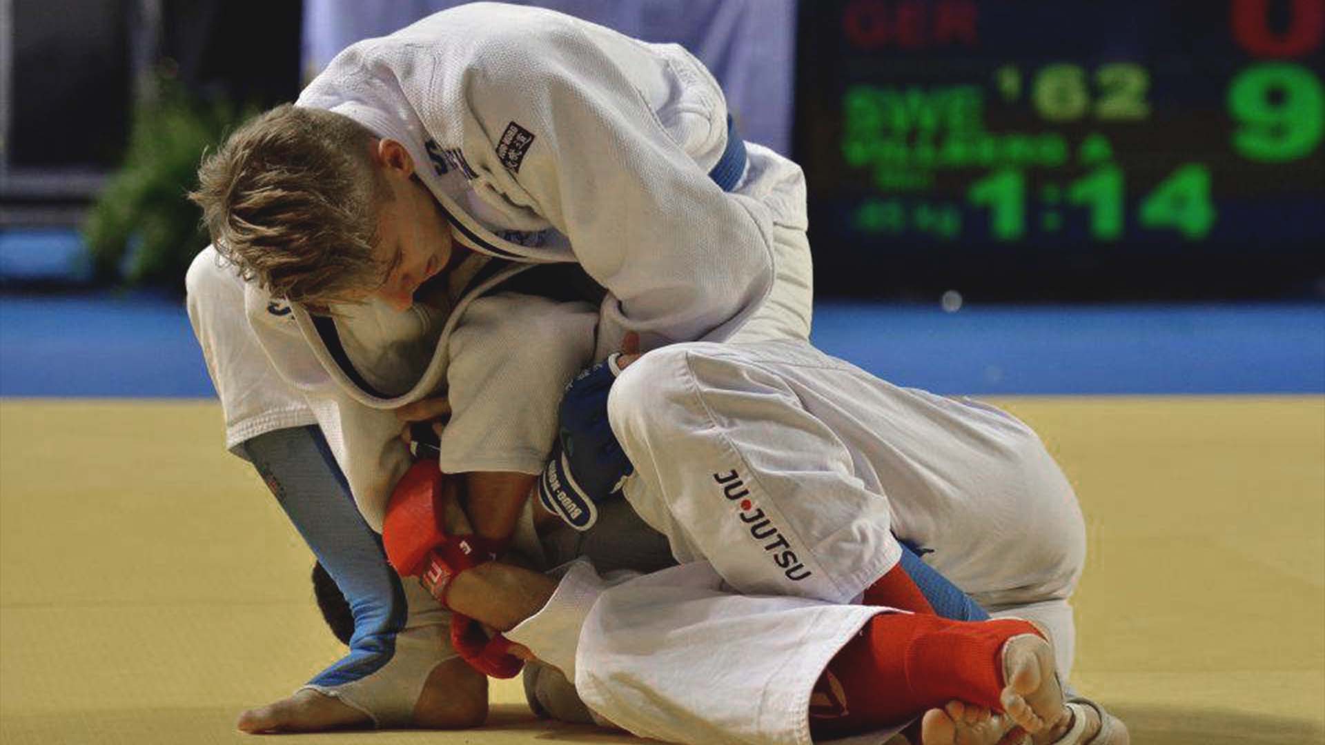Martial Arts Exxentric Flywheel Training
